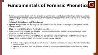 Fundamentals of Forensic Phonetics
• Forensic phonetics deals with the analysis of speech and sounds to assist in legal matters, such as
identifying speakers or verifying the authenticity of audio recordings. The field includes several key
areas:
• 1. Speech Articulators and Their Forms
• Speech articulators are the physical structures in our vocal tract used to produce speech sounds.
These include:
• Lips: For sounds like /p/ and /b/ (bilabial sounds).
• Used to make sounds like /p/ and /b/. These are called bilabial sounds because both lips come
together to block and release air.
• Example: In the word "pat," the /p/ sound is produced by closing the lips and then releasing air.
• Teeth: Contribute to sounds like /f/ and /v/ (labiodental sounds).
1. Help in producing sounds like /f/ and /v/. These are called labiodental sounds because the bottom lip touches
the upper teeth.
2. Example: In the word "fish," the /f/ sound is made by touching the lower lip to the upper teeth and blowing
air.
 