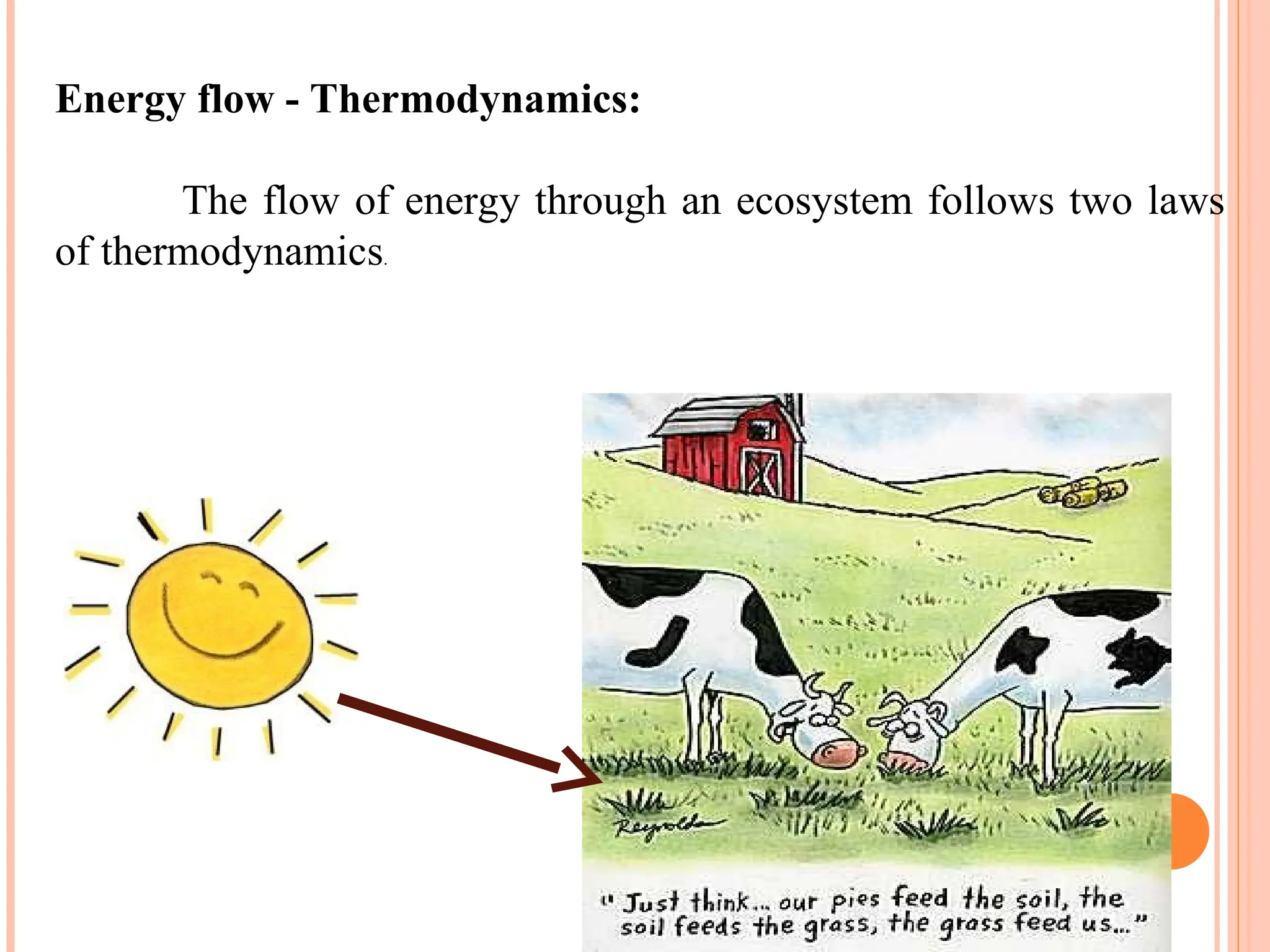 Energy flow - Thermodynamics:
The flow of energy through an ecosystem follows two laws
of thermodynamics.
 