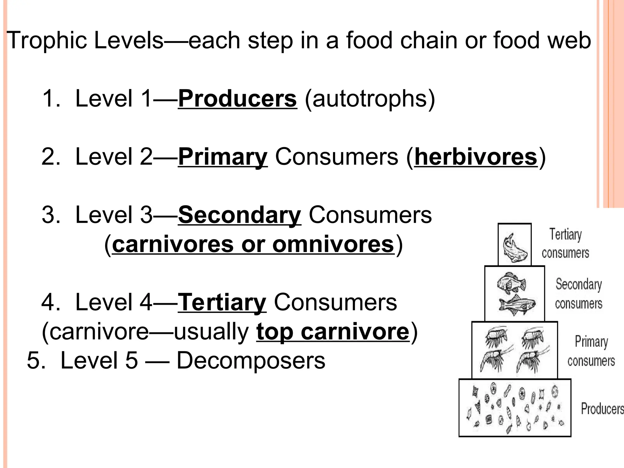 Trophic Levels—each step in a food chain or food web
1. Level 1—Producers (autotrophs)
2. Level 2—Primary Consumers (herbivores)
3. Level 3—Secondary Consumers
(carnivores or omnivores)
4. Level 4—Tertiary Consumers
(carnivore—usually top carnivore)
5. Level 5 — Decomposers
 