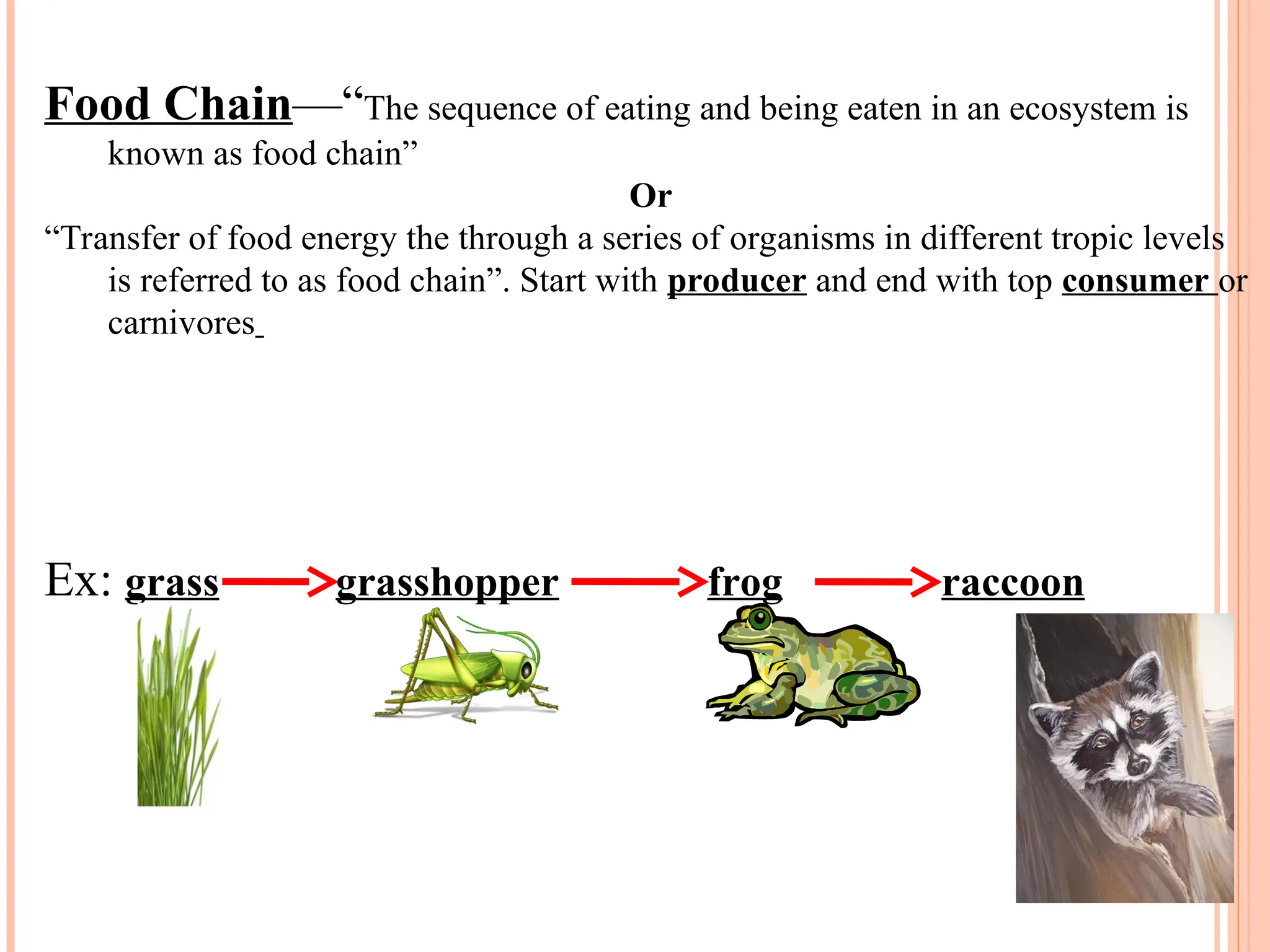 Food Chain—“The sequence of eating and being eaten in an ecosystem is
known as food chain”
Or
“Transfer of food energy the through a series of organisms in different tropic levels
is referred to as food chain”. Start with producer and end with top consumer or
carnivores
Ex: grass grasshopper frog raccoon
 