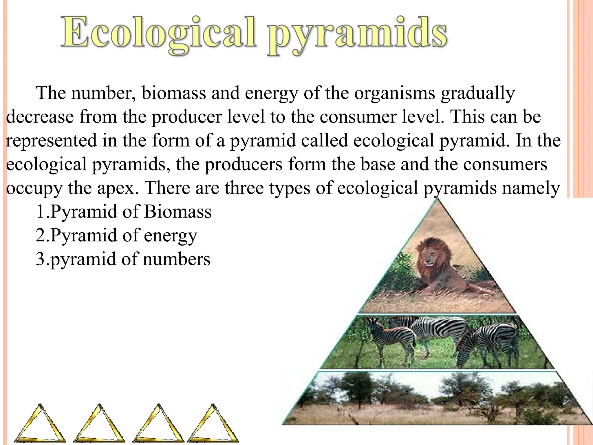 The number, biomass and energy of the organisms gradually
decrease from the producer level to the consumer level. This can be
represented in the form of a pyramid called ecological pyramid. In the
ecological pyramids, the producers form the base and the consumers
occupy the apex. There are three types of ecological pyramids namely
1.Pyramid of Biomass
2.Pyramid of energy
3.pyramid of numbers
 