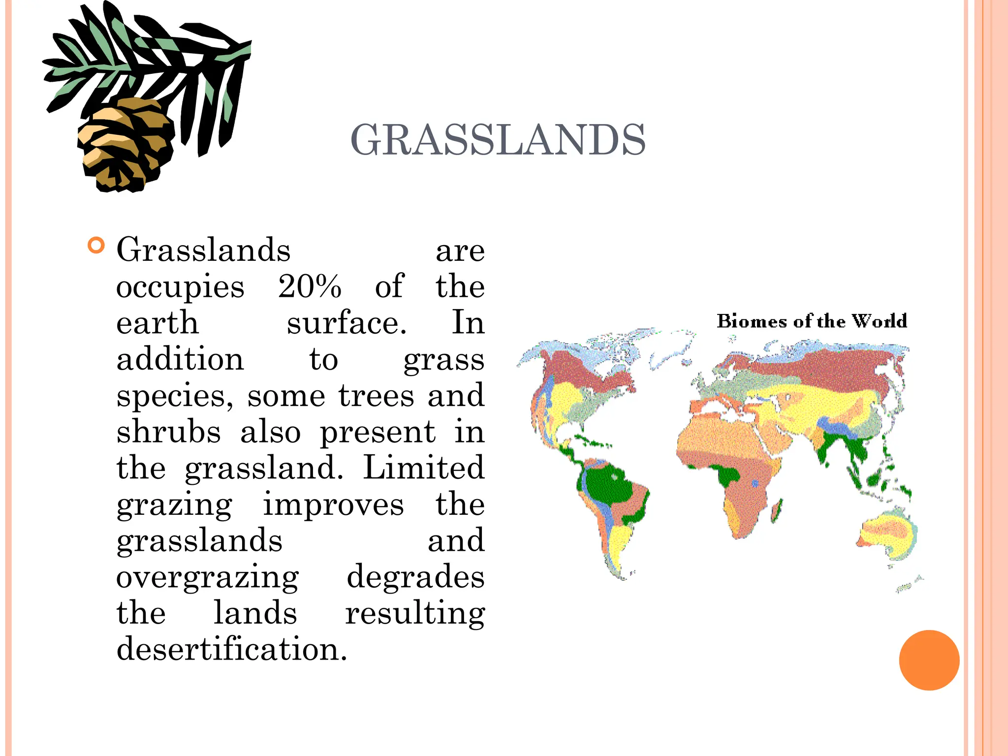 GRASSLANDS
 Grasslands are
occupies 20% of the
earth surface. In
addition to grass
species, some trees and
shrubs also present in
the grassland. Limited
grazing improves the
grasslands and
overgrazing degrades
the lands resulting
desertification.
 