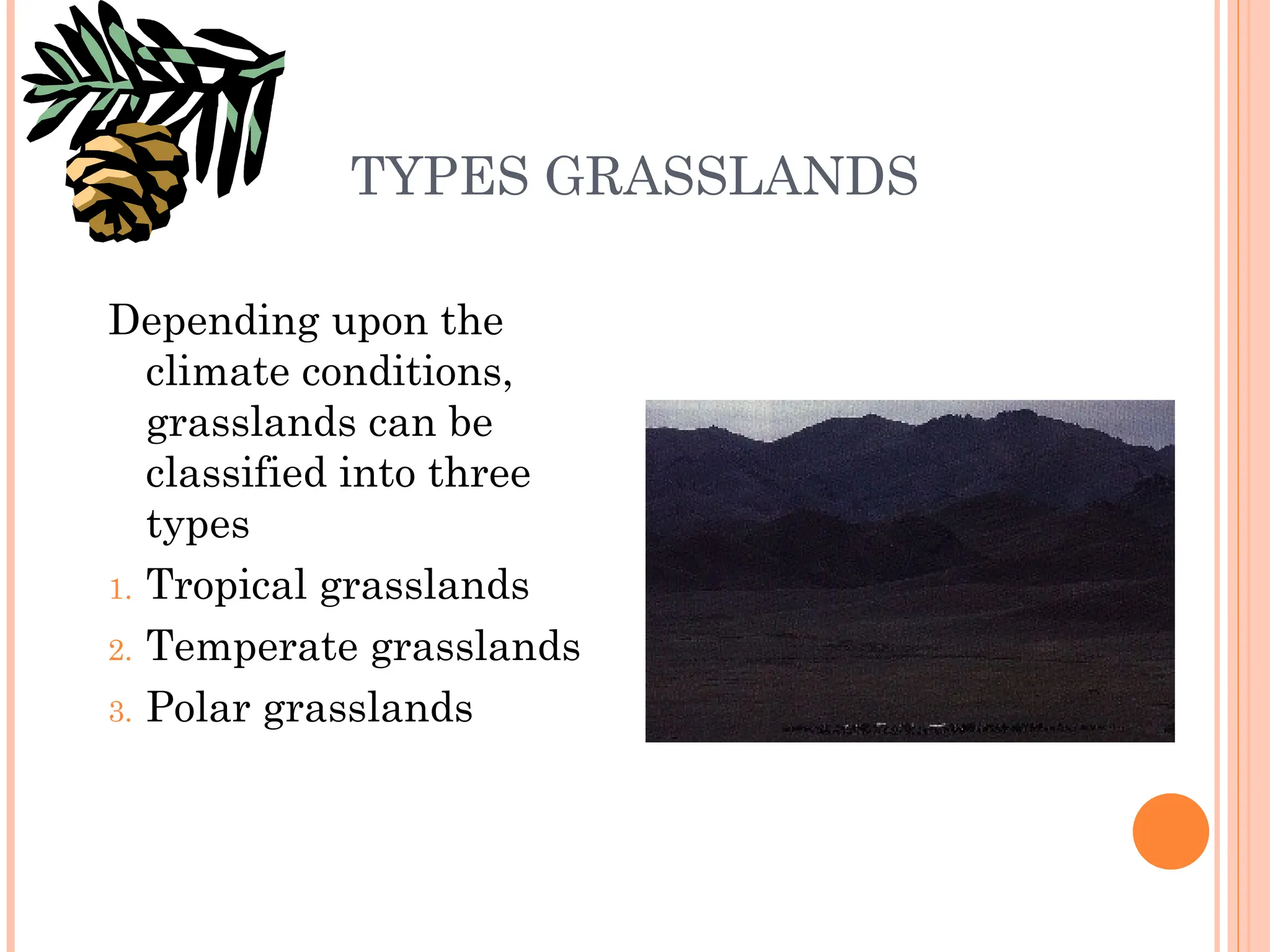 TYPES GRASSLANDS
Depending upon the
climate conditions,
grasslands can be
classified into three
types
1. Tropical grasslands
2. Temperate grasslands
3. Polar grasslands
 