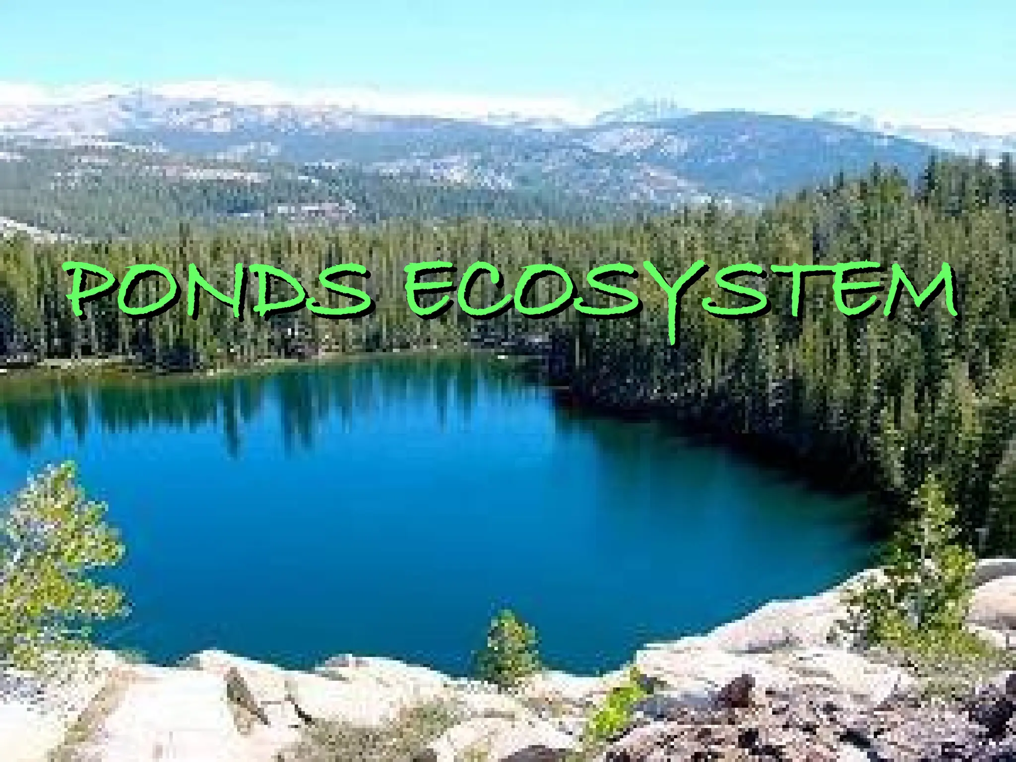 PONDS ECOSYSTEM
PONDS ECOSYSTEM
 