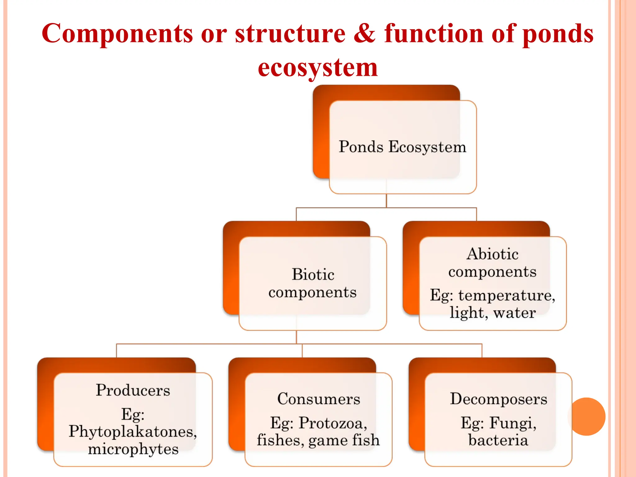 Components or structure & function of ponds
ecosystem
 