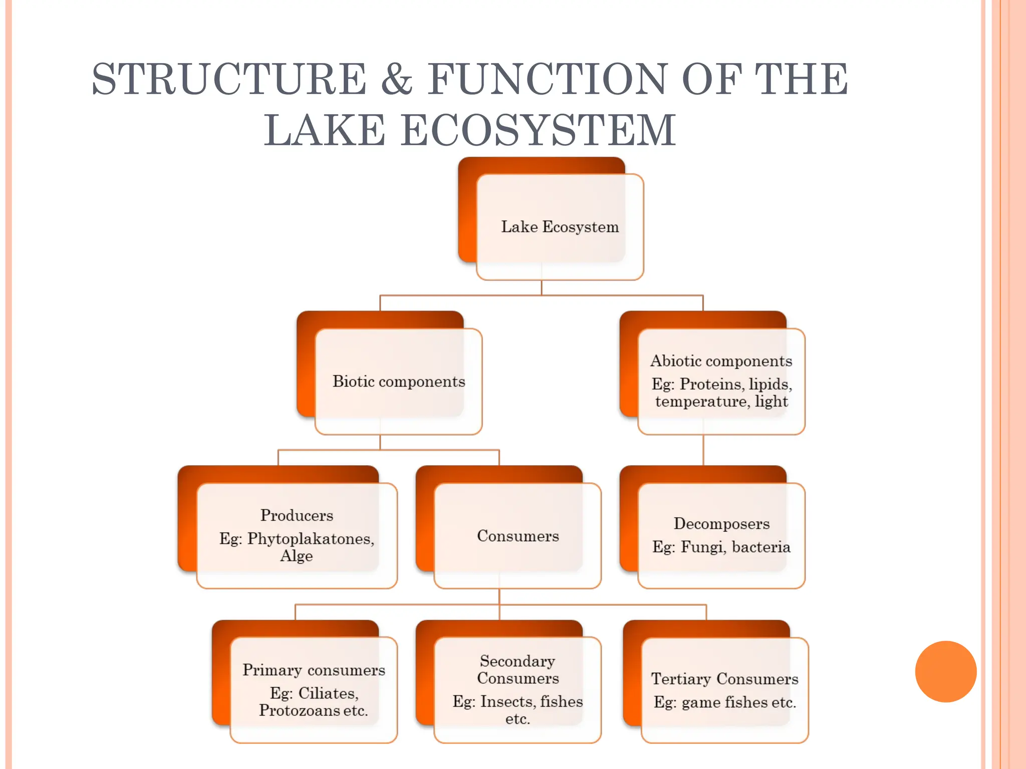STRUCTURE & FUNCTION OF THE
LAKE ECOSYSTEM
 