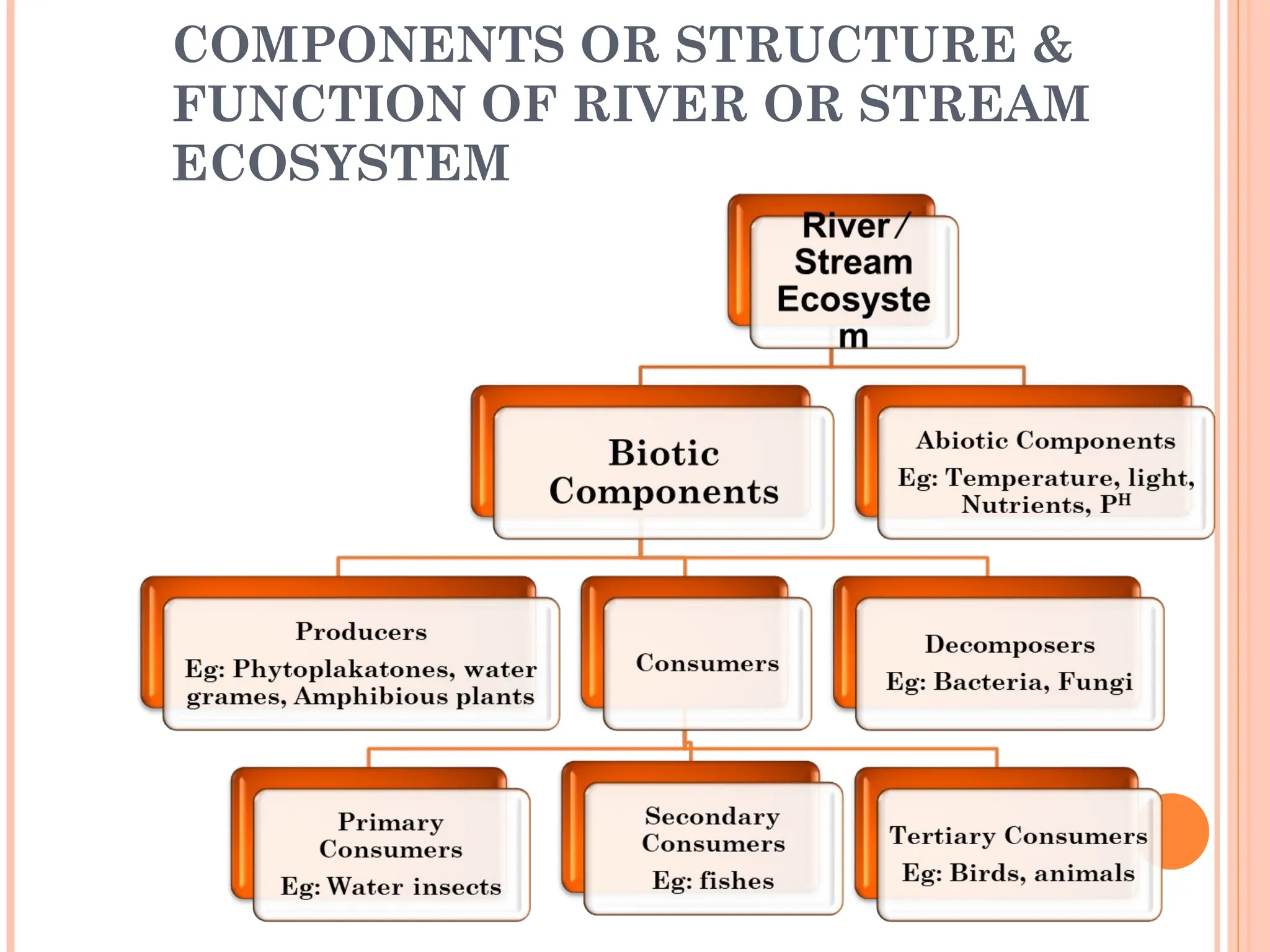 COMPONENTS OR STRUCTURE &
FUNCTION OF RIVER OR STREAM
ECOSYSTEM
 