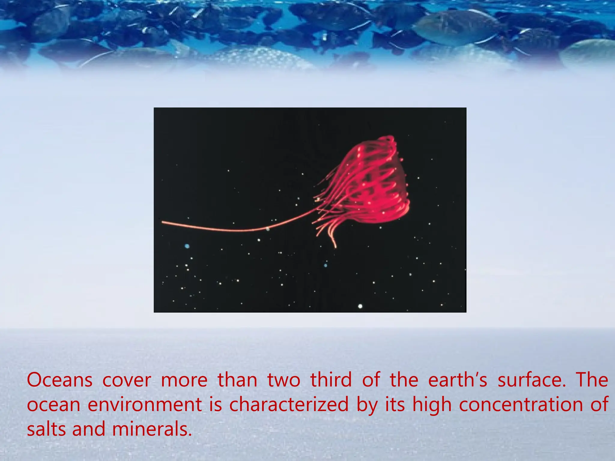 Oceans cover more than two third of the earth’s surface. The
ocean environment is characterized by its high concentration of
salts and minerals.
 