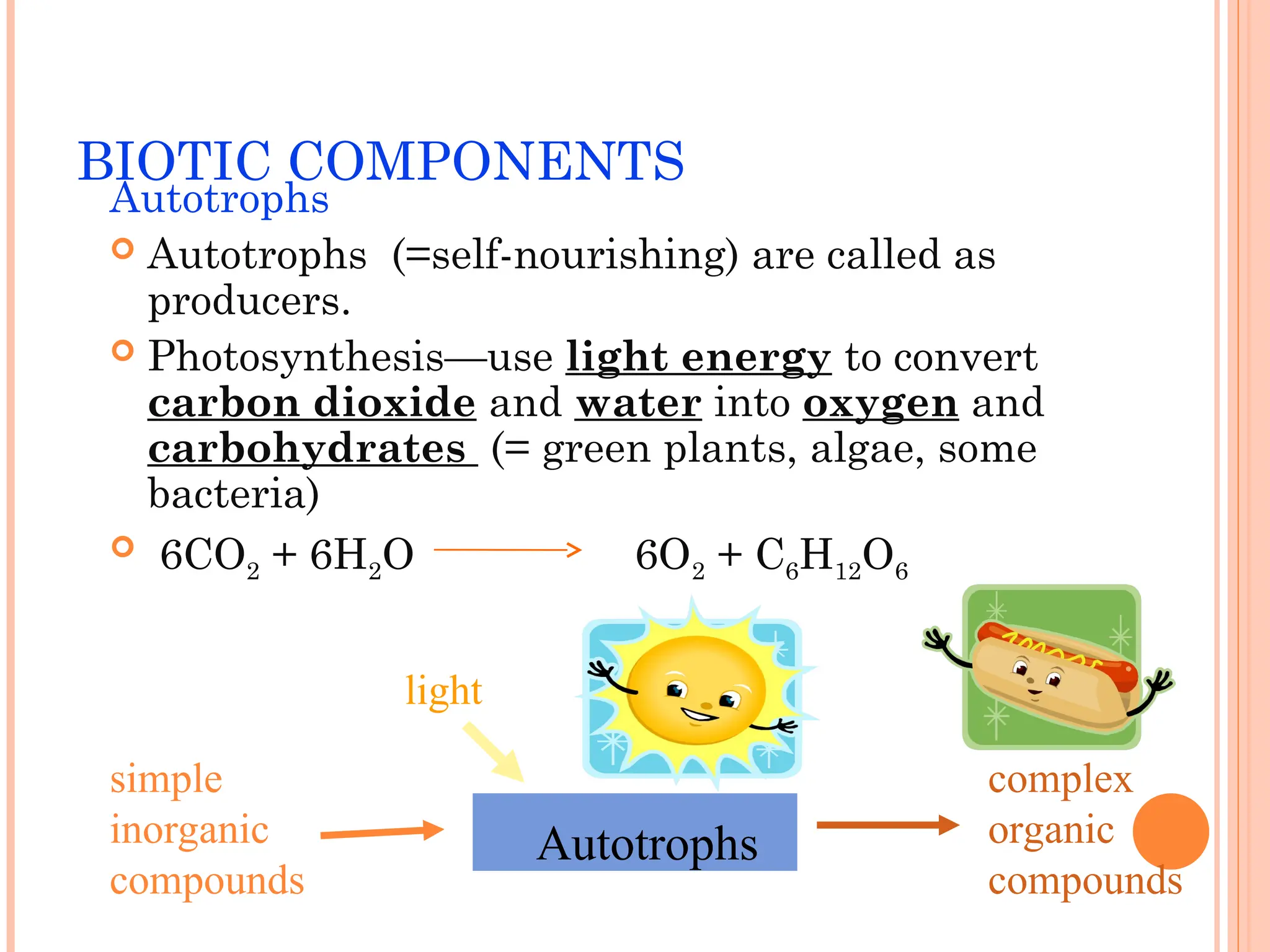 BIOTIC COMPONENTS
Autotrophs
 Autotrophs (=self-nourishing) are called as
producers.
 Photosynthesis—use light energy to convert
carbon dioxide and water into oxygen and
carbohydrates (= green plants, algae, some
bacteria)
 6CO2 + 6H2O 6O2 + C6H12O6
Autotrophs
simple
inorganic
compounds
complex
organic
compounds
light
 