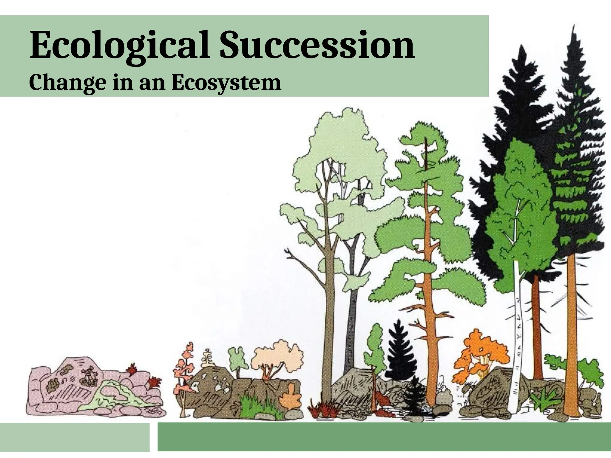 Ecological Succession
Change in an Ecosystem
 