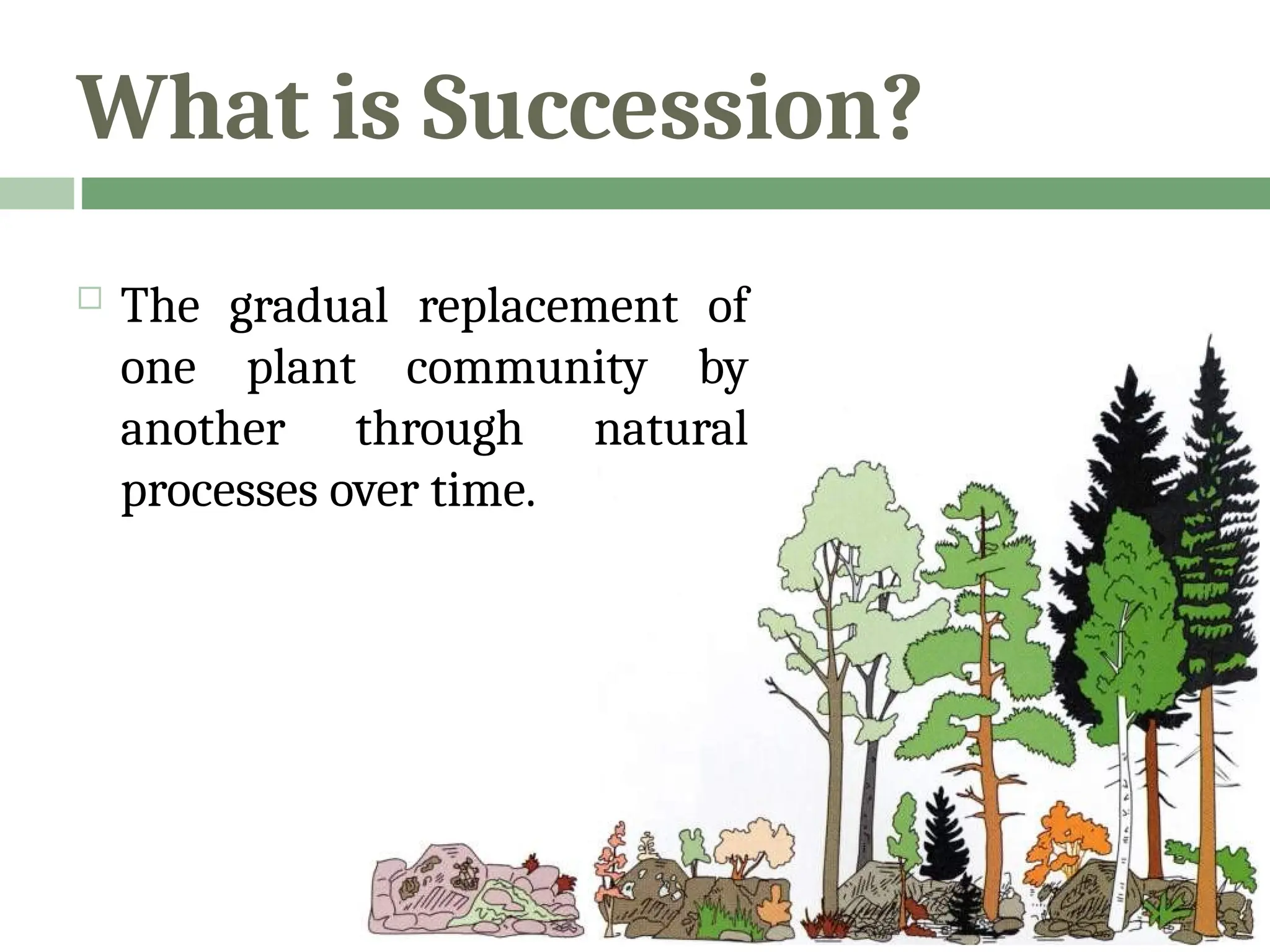 What is Succession?
 The gradual replacement of
one plant community by
another through natural
processes over time.
 