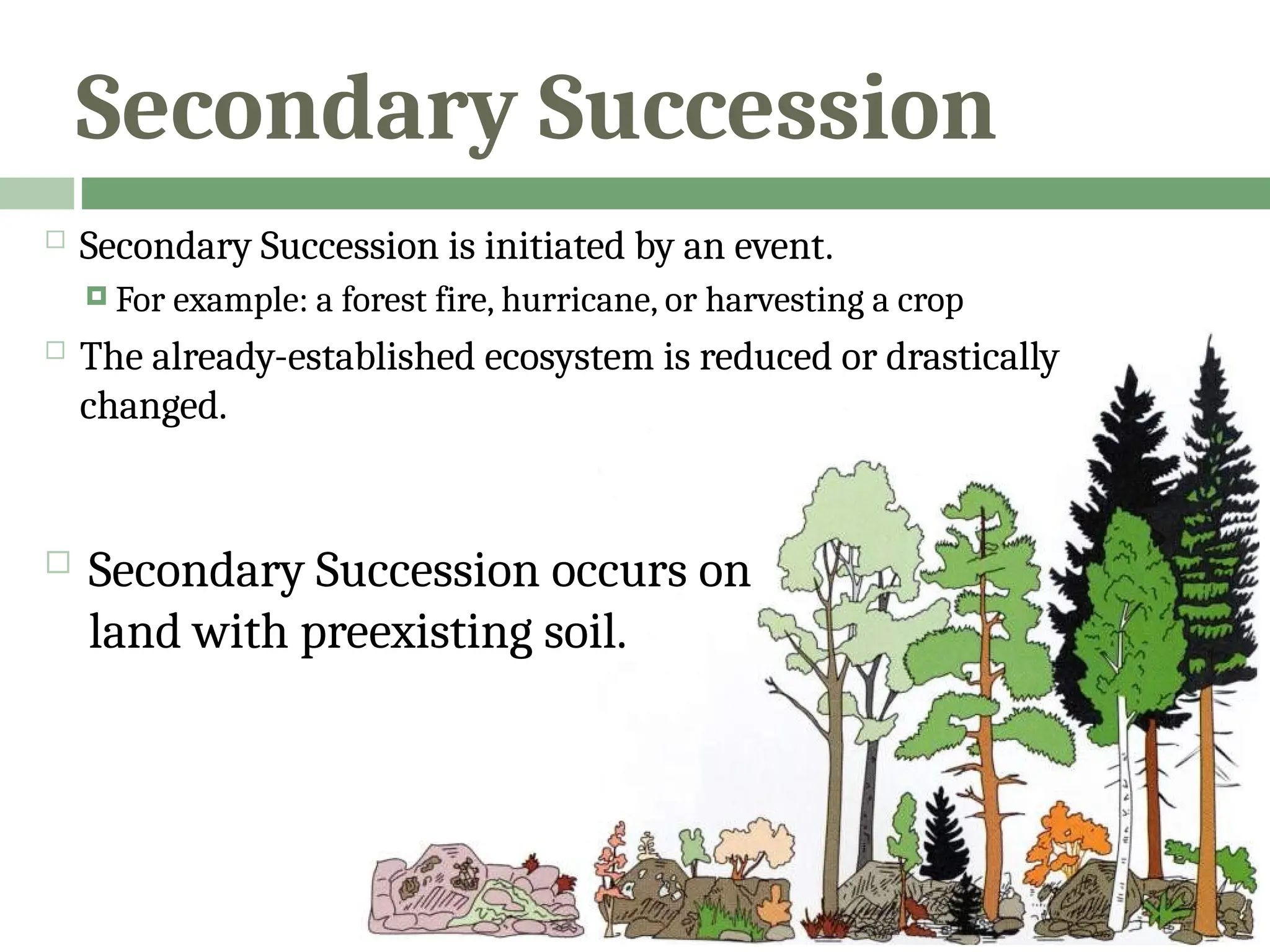 Secondary Succession
 Secondary Succession is initiated by an event.
 For example: a forest fire, hurricane, or harvesting a crop
 The already-established ecosystem is reduced or drastically
changed.
 Secondary Succession occurs on
land with preexisting soil.
 
