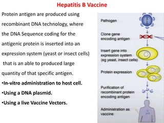 Hepatitis B Vaccine
Protein antigen are produced using
recombinant DNA technology, where
the DNA Sequence coding for the
antigenic protein is inserted into an
expression system (yeast or insect cells)
that is an able to produced large
quantity of that specific antigen.
•In-vitro administration to host cell.
•Using a DNA plasmid.
•Using a live Vaccine Vectors.
 