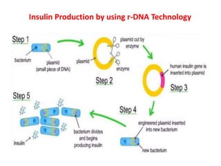 Insulin Production by using r-DNA Technology
 