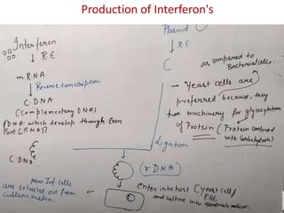 Production of Interferon's
 