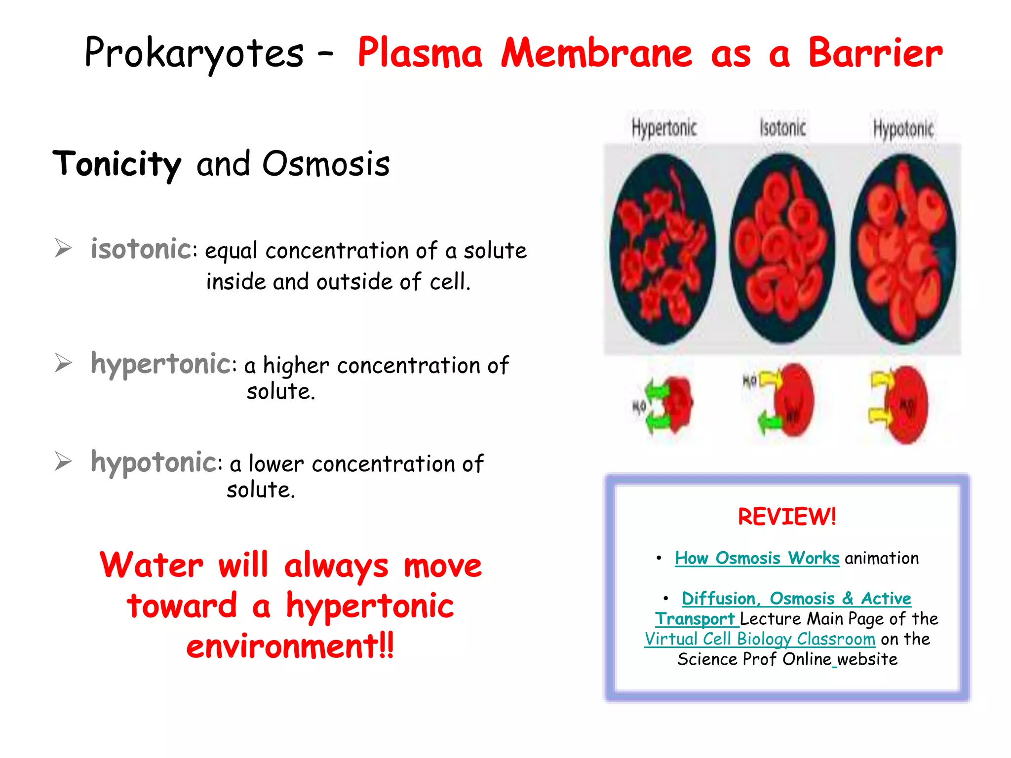 Prokaryotes – Plasma Membrane as a Barrier
Tonicity and Osmosis
 isotonic: equal concentration of a solute
inside and outside of cell.
 hypertonic: a higher concentration of
solute.
 hypotonic: a lower concentration of
solute.
Water will always move
toward a hypertonic
environment!!
REVIEW!
• How Osmosis Works animation
• Diffusion, Osmosis & Active
Transport Lecture Main Page of the
Virtual Cell Biology Classroom on the
Science Prof Online website
 