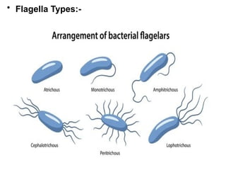 unit-2micro-organisms-.pptx for students | PPTX