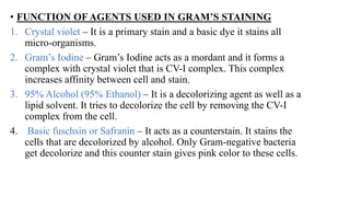 • FUNCTION OF AGENTS USED IN GRAM’S STAINING
1. Crystal violet – It is a primary stain and a basic dye it stains all
micro-organisms.
2. Gram’s Iodine – Gram’s Iodine acts as a mordant and it forms a
complex with crystal violet that is CV-I complex. This complex
increases affinity between cell and stain.
3. 95% Alcohol (95% Ethanol) – It is a decolorizing agent as well as a
lipid solvent. It tries to decolorize the cell by removing the CV-I
complex from the cell.
4. Basic fuschsin or Safranin – It acts as a counterstain. It stains the
cells that are decolorized by alcohol. Only Gram-negative bacteria
get decolorize and this counter stain gives pink color to these cells.
 