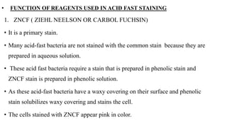 • FUNCTION OF REAGENTS USED IN ACID FAST STAINING
1. ZNCF ( ZIEHL NEELSON OR CARBOL FUCHSIN)
• It is a primary stain.
• Many acid-fast bacteria are not stained with the common stain because they are
prepared in aqueous solution.
• These acid fast bacteria require a stain that is prepared in phenolic stain and
ZNCF stain is prepared in phenolic solution.
• As these acid-fast bacteria have a waxy covering on their surface and phenolic
stain solubilizes waxy covering and stains the cell.
• The cells stained with ZNCF appear pink in color.
 