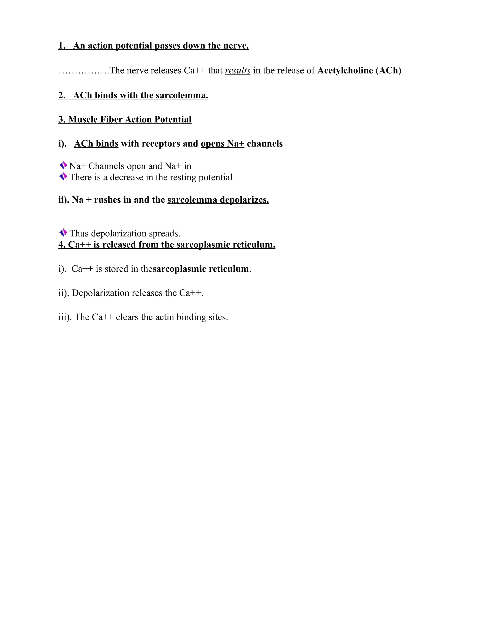 1. An action potential passes down the nerve.
…………….The nerve releases Ca++ that results in the release of Acetylcholine (ACh)
2. ACh binds with the sarcolemma.
3. Muscle Fiber Action Potential
i). ACh binds with receptors and opens Na+ channels
Na+ Channels open and Na+ in
There is a decrease in the resting potential
ii). Na + rushes in and the sarcolemma depolarizes.
Thus depolarization spreads.
4. Ca++ is released from the sarcoplasmic reticulum.
i). Ca++ is stored in thesarcoplasmic reticulum.
ii). Depolarization releases the Ca++.
iii). The Ca++ clears the actin binding sites.
 