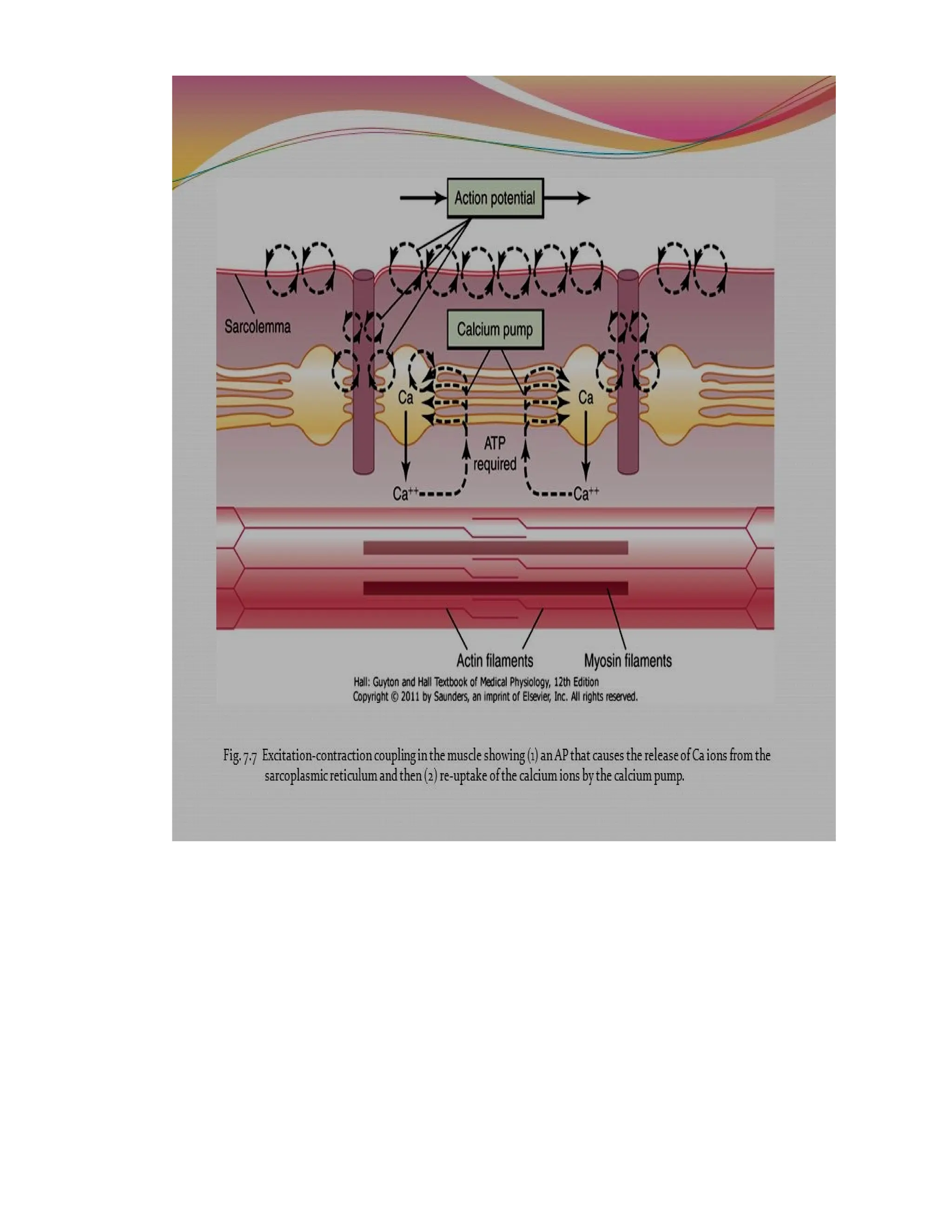 UNIT-2PDF Classification of Joints (1).pdf