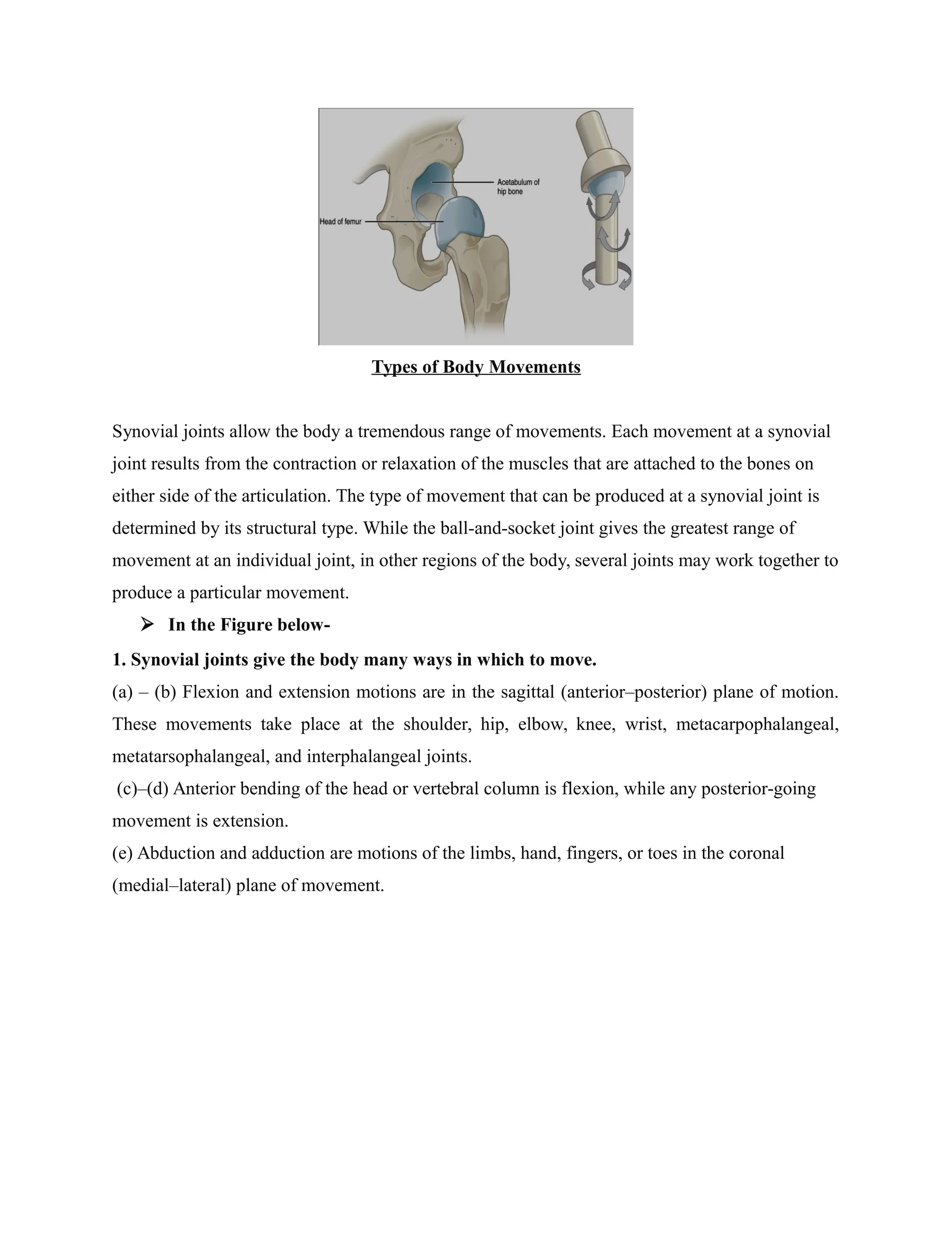 Types of Body Movements
Synovial joints allow the body a tremendous range of movements. Each movement at a synovial
joint results from the contraction or relaxation of the muscles that are attached to the bones on
either side of the articulation. The type of movement that can be produced at a synovial joint is
determined by its structural type. While the ball-and-socket joint gives the greatest range of
movement at an individual joint, in other regions of the body, several joints may work together to
produce a particular movement.
 In the Figure below-
1. Synovial joints give the body many ways in which to move.
(a) – (b) Flexion and extension motions are in the sagittal (anterior–posterior) plane of motion.
These movements take place at the shoulder, hip, elbow, knee, wrist, metacarpophalangeal,
metatarsophalangeal, and interphalangeal joints.
(c)–(d) Anterior bending of the head or vertebral column is flexion, while any posterior-going
movement is extension.
(e) Abduction and adduction are motions of the limbs, hand, fingers, or toes in the coronal
(medial–lateral) plane of movement.
 
