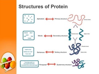 Proteins classification, source, function & RDA 