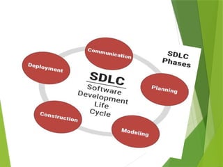 Comprehensive Guide to System Development Life Cycle and System Analyst ...