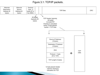 Figure 3.1: TCP/IP packets.  