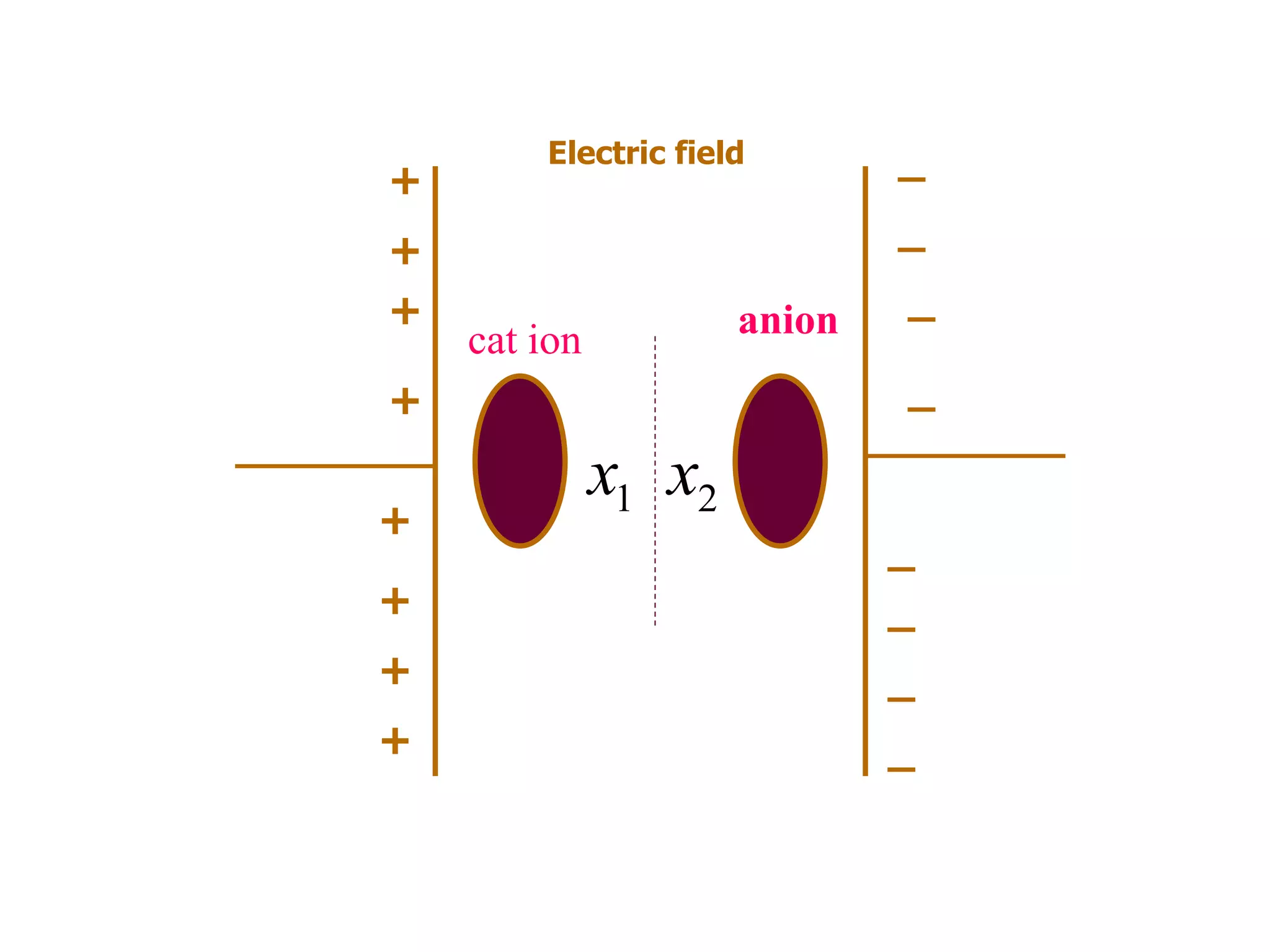 Electric field
+
+
+
+
+
+
+
+
_
_
_
_
_
_
_
_
1x 2x
anioncat ion
 