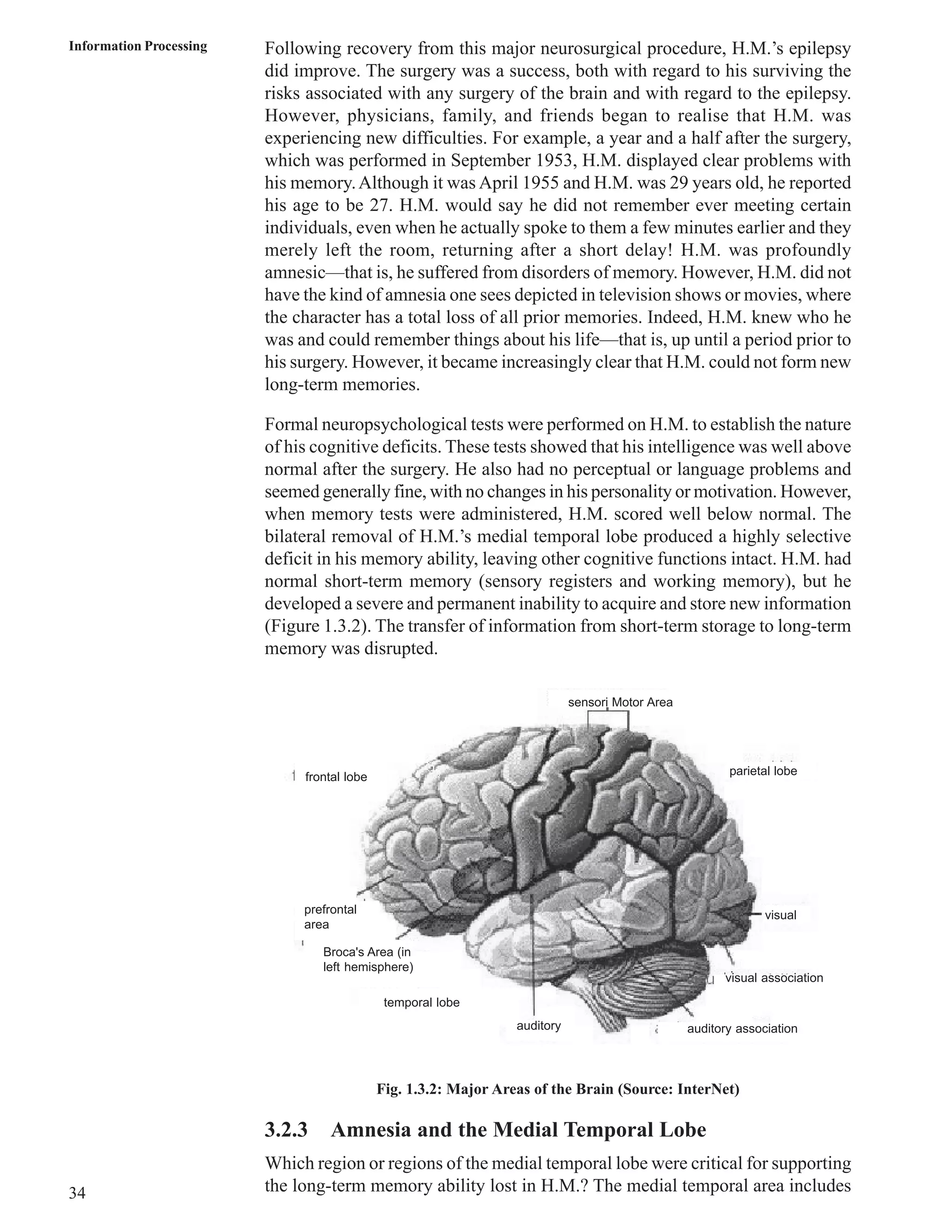 Information Processing Following recovery from this major neurosurgical procedure, H.M.’s epilepsy 
34 
did improve. The surgery was a success, both with regard to his surviving the 
risks associated with any surgery of the brain and with regard to the epilepsy. 
However, physicians, family, and friends began to realise that H.M. was 
experiencing new difficulties. For example, a year and a half after the surgery, 
which was performed in September 1953, H.M. displayed clear problems with 
his memory. Although it was April 1955 and H.M. was 29 years old, he reported 
his age to be 27. H.M. would say he did not remember ever meeting certain 
individuals, even when he actually spoke to them a few minutes earlier and they 
merely left the room, returning after a short delay! H.M. was profoundly 
amnesic—that is, he suffered from disorders of memory. However, H.M. did not 
have the kind of amnesia one sees depicted in television shows or movies, where 
the character has a total loss of all prior memories. Indeed, H.M. knew who he 
was and could remember things about his life—that is, up until a period prior to 
his surgery. However, it became increasingly clear that H.M. could not form new 
long-term memories. 
Formal neuropsychological tests were performed on H.M. to establish the nature 
of his cognitive deficits. These tests showed that his intelligence was well above 
normal after the surgery. He also had no perceptual or language problems and 
seemed generally fine, with no changes in his personality or motivation. However, 
when memory tests were administered, H.M. scored well below normal. The 
bilateral removal of H.M.’s medial temporal lobe produced a highly selective 
deficit in his memory ability, leaving other cognitive functions intact. H.M. had 
normal short-term memory (sensory registers and working memory), but he 
developed a severe and permanent inability to acquire and store new information 
(Figure 1.3.2). The transfer of information from short-term storage to long-term 
memory was disrupted. 
sensori Motor Area 
parietal lobe 
visual association 
auditory auditory association 
frontal lobe 
prefrontal 
area 
Broca's Area (in 
left hemisphere) 
temporal lobe 
Fig. 1.3.2: Major Areas of the Brain (Source: InterNet) 
visual 
3.2.3 Amnesia and the Medial Temporal Lobe 
Which region or regions of the medial temporal lobe were critical for supporting 
the long-term memory ability lost in H.M.? The medial temporal area includes 
 
