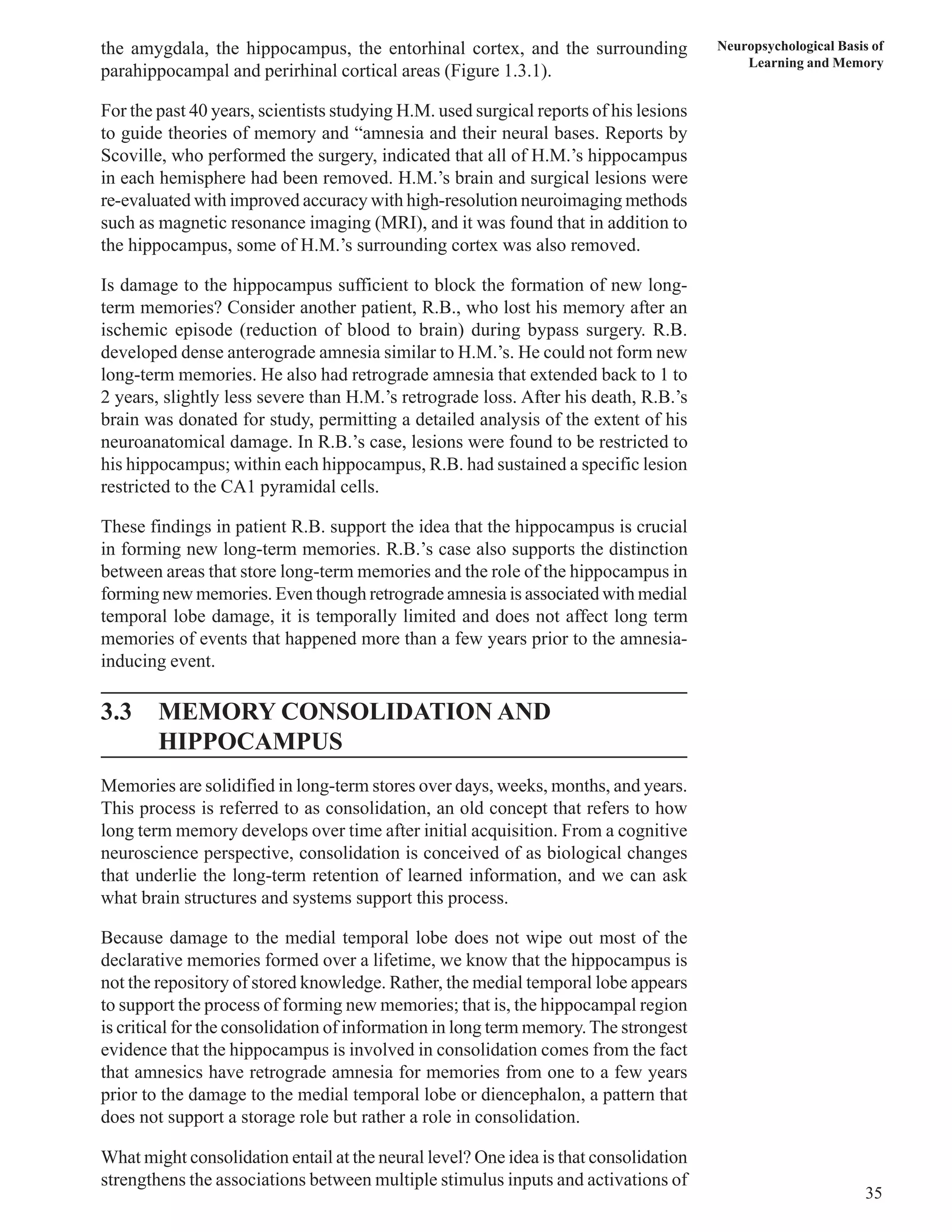 Neuropsychological Basis of 
Learning and Memory 
35 
the amygdala, the hippocampus, the entorhinal cortex, and the surrounding 
parahippocampal and perirhinal cortical areas (Figure 1.3.1). 
For the past 40 years, scientists studying H.M. used surgical reports of his lesions 
to guide theories of memory and “amnesia and their neural bases. Reports by 
Scoville, who performed the surgery, indicated that all of H.M.’s hippocampus 
in each hemisphere had been removed. H.M.’s brain and surgical lesions were 
re-evaluated with improved accuracy with high-resolution neuroimaging methods 
such as magnetic resonance imaging (MRI), and it was found that in addition to 
the hippocampus, some of H.M.’s surrounding cortex was also removed. 
Is damage to the hippocampus sufficient to block the formation of new long-term 
memories? Consider another patient, R.B., who lost his memory after an 
ischemic episode (reduction of blood to brain) during bypass surgery. R.B. 
developed dense anterograde amnesia similar to H.M.’s. He could not form new 
long-term memories. He also had retrograde amnesia that extended back to 1 to 
2 years, slightly less severe than H.M.’s retrograde loss. After his death, R.B.’s 
brain was donated for study, permitting a detailed analysis of the extent of his 
neuroanatomical damage. In R.B.’s case, lesions were found to be restricted to 
his hippocampus; within each hippocampus, R.B. had sustained a specific lesion 
restricted to the CA1 pyramidal cells. 
These findings in patient R.B. support the idea that the hippocampus is crucial 
in forming new long-term memories. R.B.’s case also supports the distinction 
between areas that store long-term memories and the role of the hippocampus in 
forming new memories. Even though retrograde amnesia is associated with medial 
temporal lobe damage, it is temporally limited and does not affect long term 
memories of events that happened more than a few years prior to the amnesia-inducing 
event. 
3.3 MEMORY CONSOLIDATION AND 
HIPPOCAMPUS 
Memories are solidified in long-term stores over days, weeks, months, and years. 
This process is referred to as consolidation, an old concept that refers to how 
long term memory develops over time after initial acquisition. From a cognitive 
neuroscience perspective, consolidation is conceived of as biological changes 
that underlie the long-term retention of learned information, and we can ask 
what brain structures and systems support this process. 
Because damage to the medial temporal lobe does not wipe out most of the 
declarative memories formed over a lifetime, we know that the hippocampus is 
not the repository of stored knowledge. Rather, the medial temporal lobe appears 
to support the process of forming new memories; that is, the hippocampal region 
is critical for the consolidation of information in long term memory. The strongest 
evidence that the hippocampus is involved in consolidation comes from the fact 
that amnesics have retrograde amnesia for memories from one to a few years 
prior to the damage to the medial temporal lobe or diencephalon, a pattern that 
does not support a storage role but rather a role in consolidation. 
What might consolidation entail at the neural level? One idea is that consolidation 
strengthens the associations between multiple stimulus inputs and activations of 
 