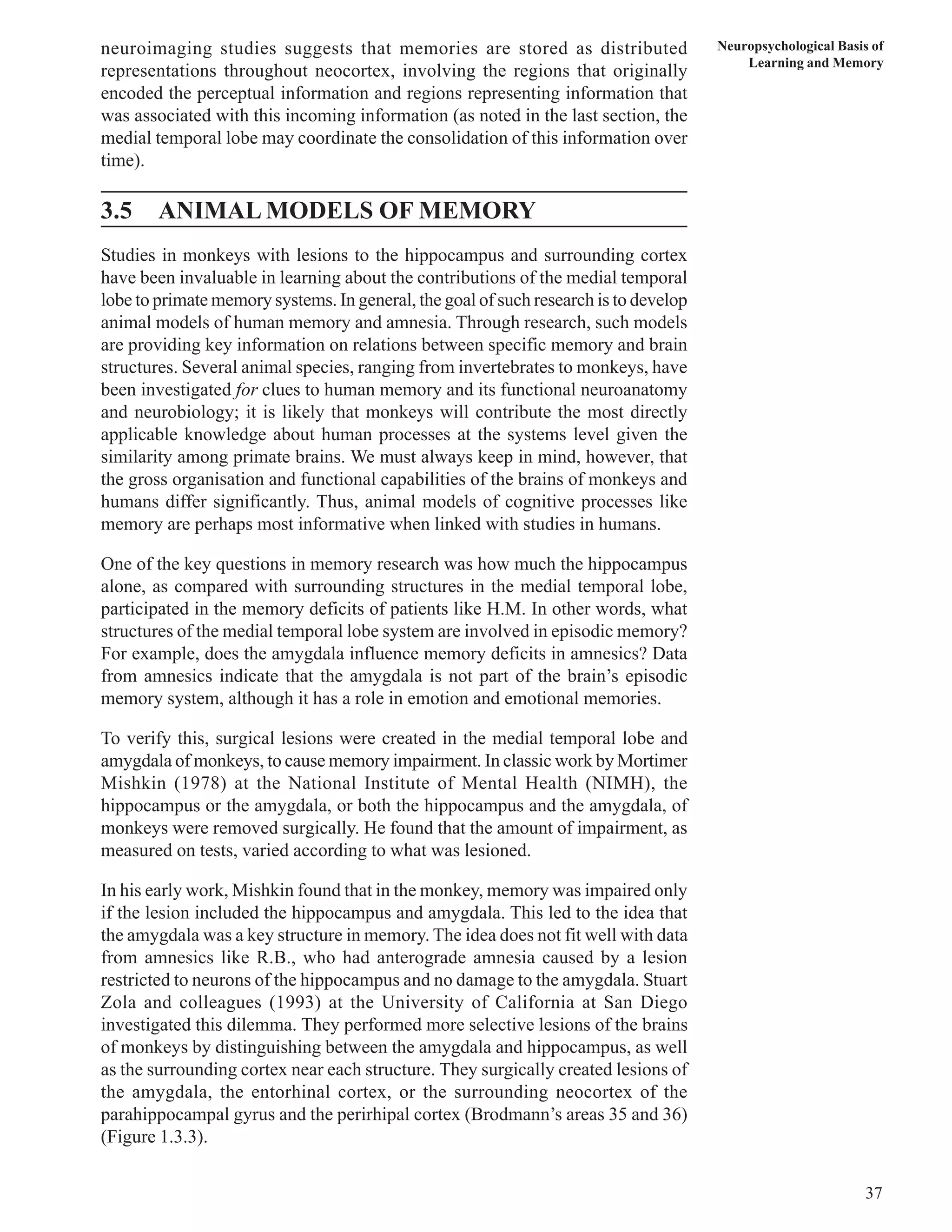 Neuropsychological Basis of 
Learning and Memory 
37 
neuroimaging studies suggests that memories are stored as distributed 
representations throughout neocortex, involving the regions that originally 
encoded the perceptual information and regions representing information that 
was associated with this incoming information (as noted in the last section, the 
medial temporal lobe may coordinate the consolidation of this information over 
time). 
3.5 ANIMAL MODELS OF MEMORY 
Studies in monkeys with lesions to the hippocampus and surrounding cortex 
have been invaluable in learning about the contributions of the medial temporal 
lobe to primate memory systems. In general, the goal of such research is to develop 
animal models of human memory and amnesia. Through research, such models 
are providing key information on relations between specific memory and brain 
structures. Several animal species, ranging from invertebrates to monkeys, have 
been investigated for clues to human memory and its functional neuroanatomy 
and neurobiology; it is likely that monkeys will contribute the most directly 
applicable knowledge about human processes at the systems level given the 
similarity among primate brains. We must always keep in mind, however, that 
the gross organisation and functional capabilities of the brains of monkeys and 
humans differ significantly. Thus, animal models of cognitive processes like 
memory are perhaps most informative when linked with studies in humans. 
One of the key questions in memory research was how much the hippocampus 
alone, as compared with surrounding structures in the medial temporal lobe, 
participated in the memory deficits of patients like H.M. In other words, what 
structures of the medial temporal lobe system are involved in episodic memory? 
For example, does the amygdala influence memory deficits in amnesics? Data 
from amnesics indicate that the amygdala is not part of the brain’s episodic 
memory system, although it has a role in emotion and emotional memories. 
To verify this, surgical lesions were created in the medial temporal lobe and 
amygdala of monkeys, to cause memory impairment. In classic work by Mortimer 
Mishkin (1978) at the National Institute of Mental Health (NIMH), the 
hippocampus or the amygdala, or both the hippocampus and the amygdala, of 
monkeys were removed surgically. He found that the amount of impairment, as 
measured on tests, varied according to what was lesioned. 
In his early work, Mishkin found that in the monkey, memory was impaired only 
if the lesion included the hippocampus and amygdala. This led to the idea that 
the amygdala was a key structure in memory. The idea does not fit well with data 
from amnesics like R.B., who had anterograde amnesia caused by a lesion 
restricted to neurons of the hippocampus and no damage to the amygdala. Stuart 
Zola and colleagues (1993) at the University of California at San Diego 
investigated this dilemma. They performed more selective lesions of the brains 
of monkeys by distinguishing between the amygdala and hippocampus, as well 
as the surrounding cortex near each structure. They surgically created lesions of 
the amygdala, the entorhinal cortex, or the surrounding neocortex of the 
parahippocampal gyrus and the perirhipal cortex (Brodmann’s areas 35 and 36) 
(Figure 1.3.3). 
 