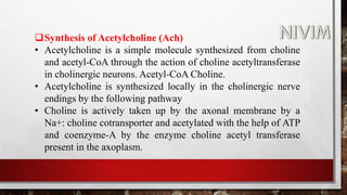 Synthesis of Acetylcholine (Ach)
• Acetylcholine is a simple molecule synthesized from choline
and acetyl-CoA through the action of choline acetyltransferase
in cholinergic neurons. Acetyl-CoA Choline.
• Acetylcholine is synthesized locally in the cholinergic nerve
endings by the following pathway
• Choline is actively taken up by the axonal membrane by a
Na+: choline cotransporter and acetylated with the help of ATP
and coenzyme-A by the enzyme choline acetyl transferase
present in the axoplasm.
 