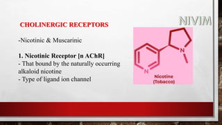 CHOLINERGIC RECEPTORS
-Nicotinic & Muscarinic
1. Nicotinic Receptor [n AChR]
- That bound by the naturally occurring
alkaloid nicotine
- Type of ligand ion channel
 