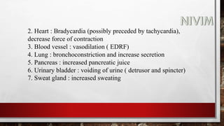 2. Heart : Bradycardia (possibly preceded by tachycardia),
decrease force of contraction
3. Blood vessel : vasodilation ( EDRF)
4. Lung : bronchoconstriction and increase secretion
5. Pancreas : increased pancreatic juice
6. Urinary bladder : voiding of urine ( detrusor and spincter)
7. Sweat gland : increased sweating
 