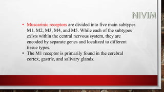 • Muscarinic receptors are divided into five main subtypes
M1, M2, M3, M4, and M5. While each of the subtypes
exists within the central nervous system, they are
encoded by separate genes and localized to different
tissue types.
• The M1 receptor is primarily found in the cerebral
cortex, gastric, and salivary glands.
 