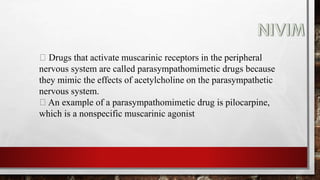 Drugs that activate muscarinic receptors in the peripheral
nervous system are called parasympathomimetic drugs because
they mimic the effects of acetylcholine on the parasympathetic
nervous system.
An example of a parasympathomimetic drug is pilocarpine,
which is a nonspecific muscarinic agonist
 