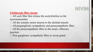 Cholinergic fibre means
All such fiber that release the acetylcholine as the
neurotransmitter
All the somatic motor neuron to the skeletal muscle
All preganglionic sympathetic and parasympathetic fibre
All the parasympathetic fibre to the neuro- effectors
junction
Post ganglionic sympathetic fibre to sweat gland
 