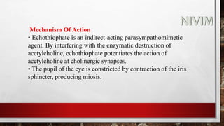 Mechanism Of Action
• Echothiophate is an indirect-acting parasympathomimetic
agent. By interfering with the enzymatic destruction of
acetylcholine, echothiophate potentiates the action of
acetylcholine at cholinergic synapses.
• The pupil of the eye is constricted by contraction of the iris
sphincter, producing miosis.
 