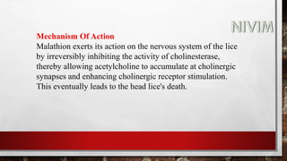 Mechanism Of Action
Malathion exerts its action on the nervous system of the lice
by irreversibly inhibiting the activity of cholinesterase,
thereby allowing acetylcholine to accumulate at cholinergic
synapses and enhancing cholinergic receptor stimulation.
This eventually leads to the head lice's death.
 