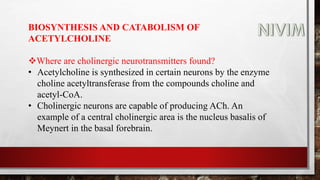 BIOSYNTHESIS AND CATABOLISM OF
ACETYLCHOLINE
Where are cholinergic neurotransmitters found?
• Acetylcholine is synthesized in certain neurons by the enzyme
choline acetyltransferase from the compounds choline and
acetyl-CoA.
• Cholinergic neurons are capable of producing ACh. An
example of a central cholinergic area is the nucleus basalis of
Meynert in the basal forebrain.
 