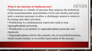 What is the function of cholinesterase?
Cholinesterase is a family of enzymes that catalyzes the hydrolysis
of the neurotransmitter acetylcholine (ACh) into choline and acetic
acid, a reaction necessary to allow a cholinergic neuron to return to
its resting state after activation.
• Pralidoxime is a cholinesterase reactivator used to treat
organophosphate poisoning.
• Pralidoxime is an antidote to organophosphate pesticides and
chemicals.
• Organophosphates bind to the esteratic site of acetylcholinesterase,
which results initially in reversible inactivation of the enzyme.
 