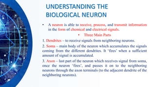 UNDERSTANDING THE
BIOLOGICAL NEURON
• A neuron is able to receive, process, and transmit information
in the form of chemical and electrical signals.
• Three Main Parts
1. Dendrites – to receive signals from neighboring neurons.
2. Soma – main body of the neuron which accumulates the signals
coming from the different dendrites. It ‘fires’ when a sufficient
amount of signal is accumulated.
3. Axon – last part of the neuron which receives signal from soma,
once the neuron ‘fires’, and passes it on to the neighboring
neurons through the axon terminals (to the adjacent dendrite of the
neighboring neurons).
 