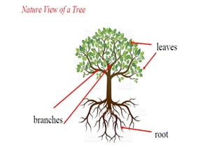 Comprehensive Guide to Trees in Data Structures: Terminology, Types ...