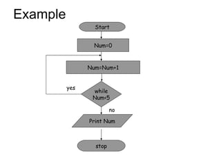 Example Start Num=0 Num=Num+1 Print Num while Num<5 stop no yes 