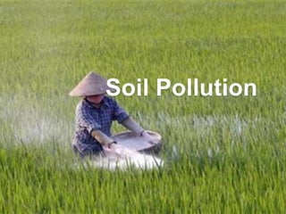 Soil Pollution
 