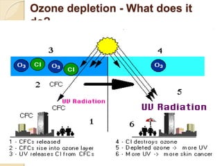 Ozone depletion - What does it
do?
 