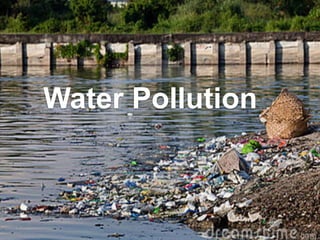 Water Pollution
 