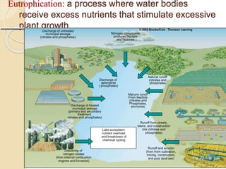 Eutrophication: a process where water bodies
receive excess nutrients that stimulate excessive
plant growth
Discharge of untreated
municipal sewage
(nitrates and phosphates)
Nitrogen compounds
produced by cars
and factories
Discharge of treated
municipal sewage
(primary and secondary
treatment:
nitrates and phosphates)
Discharge of
detergents
( phosphates)
Natural runoff
(nitrates and
phosphates
Manure runoff
From feedlots
(nitrates and
Phosphates,
ammonia)
Dissolving of
nitrogen oxides
(from internal combustion
engines and furnaces)
Runoff and erosion
(from from cultivation,
mining, construction,
and poor land use)
Runoff from streets,
lawns, and construction
lots (nitrates and
phosphates)
Lake ecosystem
nutrient overload
and breakdown of
chemical cycling
Fig .22.7, p. 499
 